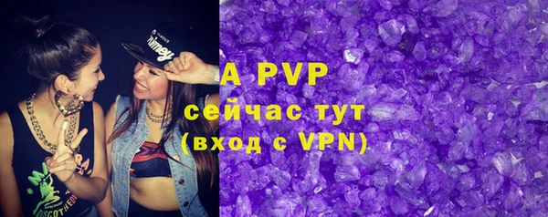 spice Аркадак